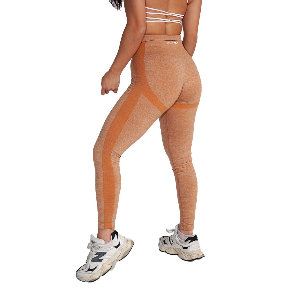 Alera Seamless Leggings